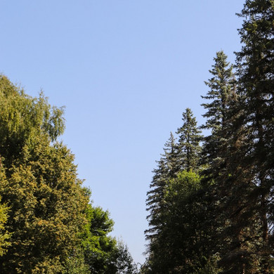 1 (19)