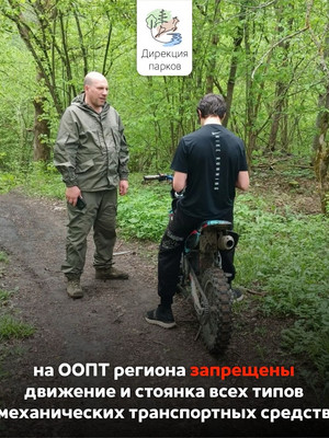На ООПТ региона запрещены движение и стоянка всех типов механических транспортных средств