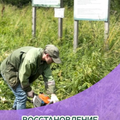 нкв