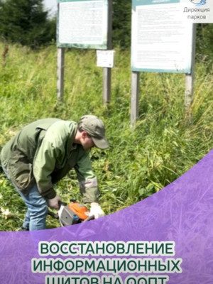 Работы по обслуживанию инфраструктуры