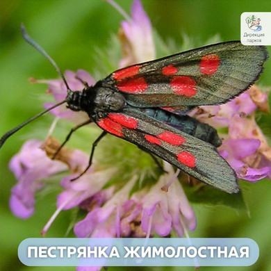 nZuA9q660PDLhj1m44hme4Oc5-txRUY3ncvDNvdRSMxQuKnm52j3t-T_R-tIkP0kaVQ7_6gePLTsKLQPsM-mLezw