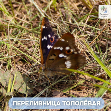 -9EhUpduU2y7EIx6f-kiR52ZugNyr06o8ITXi2vEShzLSu0SP02lSaaUVj0sH2QSkgkQvsEvK8_5tJGMNdhf_5Au