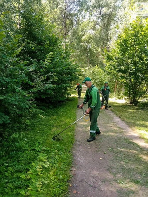 О содержании природных территорий