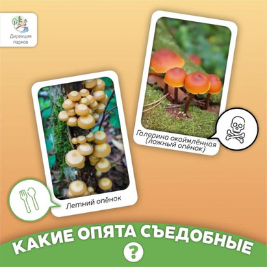 Dtldde3mZhnDcLeS7onHQox84ijFFuXzVRNQE-0xvpBywIWyrAf2kLuWjmJTirTwWQqSMHgMWbyWd6aBorV7krSa