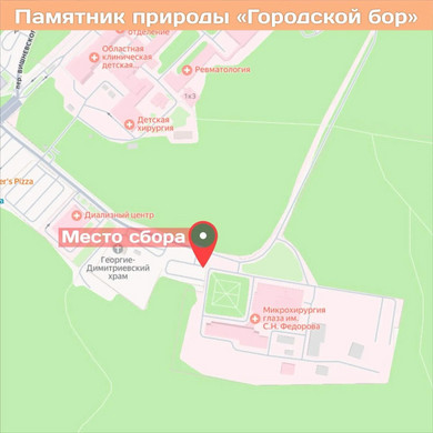 7V85tc33S3vqHm95k0aA2d36ztRknLp8r0j261seGy4uu4rEDfzR18f6ealSzSKmHcHzZiZDZpBl4eI-2bNOunF6