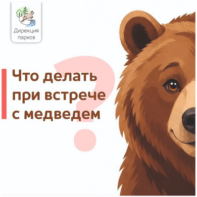 Безымянный-1
