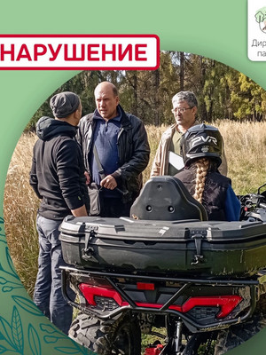 Выявлено нарушение на территории памятника природы «Парк усадьбы Яновских»